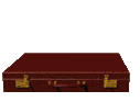 valise de billets de banque